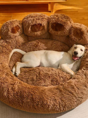 import placeholder for 12001123