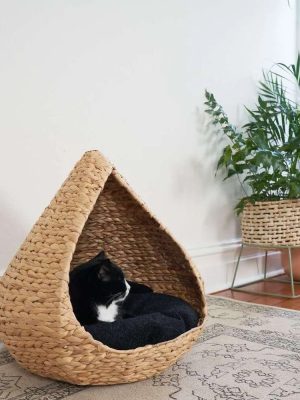 import placeholder for 12001151