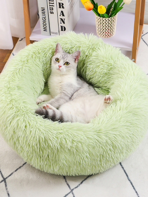 import placeholder for 12001126