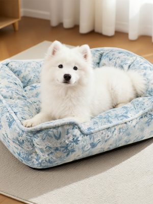 import placeholder for 12001155