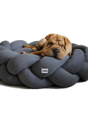 import placeholder for 12001135