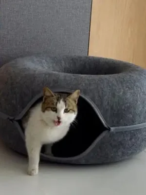 import placeholder for 12001128