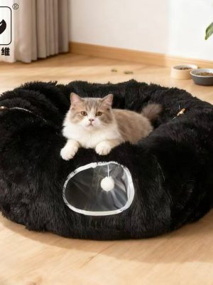 import placeholder for 12001121