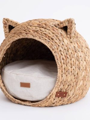 import placeholder for 12001143