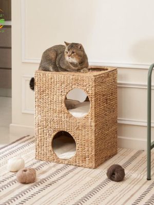 import placeholder for 12001149